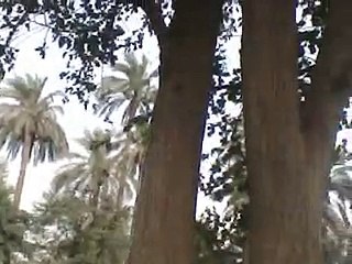 SULAMAN MAHAR AND ISHAQ MAHAR