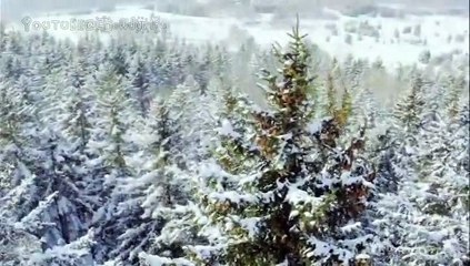 【中日字幕】B1A4 - 白いキセキ  PV