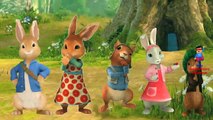 Finger Family Rhymes Masha And The Bear Peter Rabbit Cartoon Planet 51 Children Nursery Rhymes