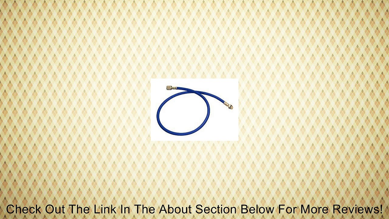 Mastercool 84961 Low Side Hose Review