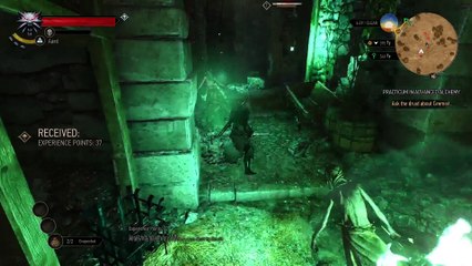 The Witcher 3 Wild Hunt - Gameplay Part 1