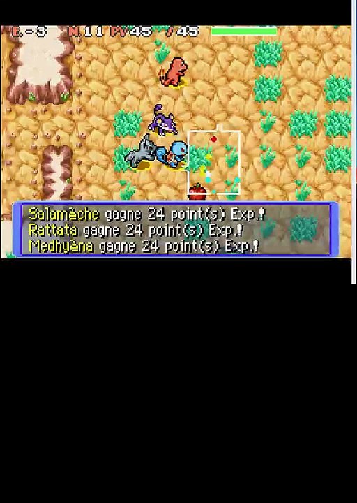 pokémon équipe de secours 03