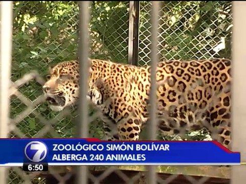 Funda Zoo interpuso medidas cautelares contra el MINAE
