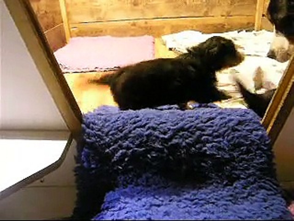 26 janv encore tous les bébés puis tétée