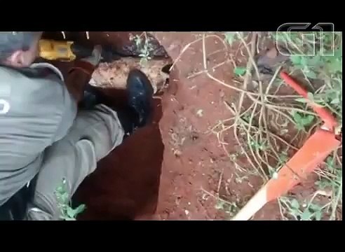 Bomberos rescataron a cachorrito atorado en una tubería