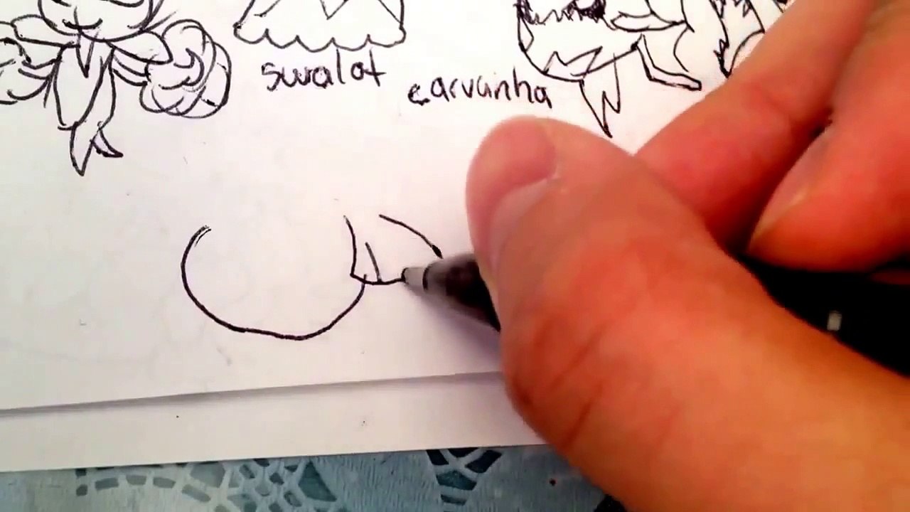 How to draw Pokemons Wailmer