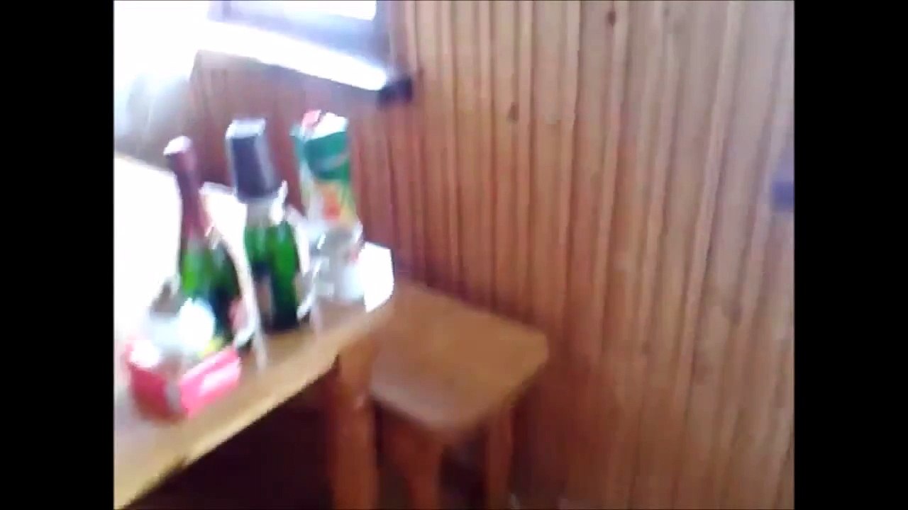 CATS PLOTTING TO KILL US.