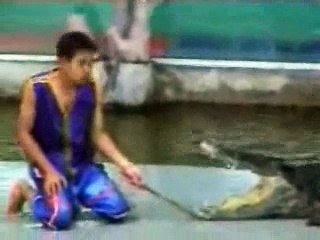 Le crocodile lui mange son bras
