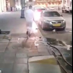 Une chatte protège ses chatons d'un jeune idiot ...