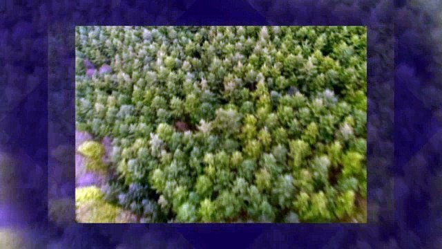 2015 Lincoln MKZ near Elk Grove at Future Lincoln of Roseville