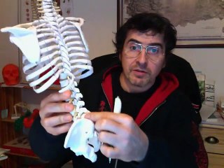 Position assise et mal au dos.