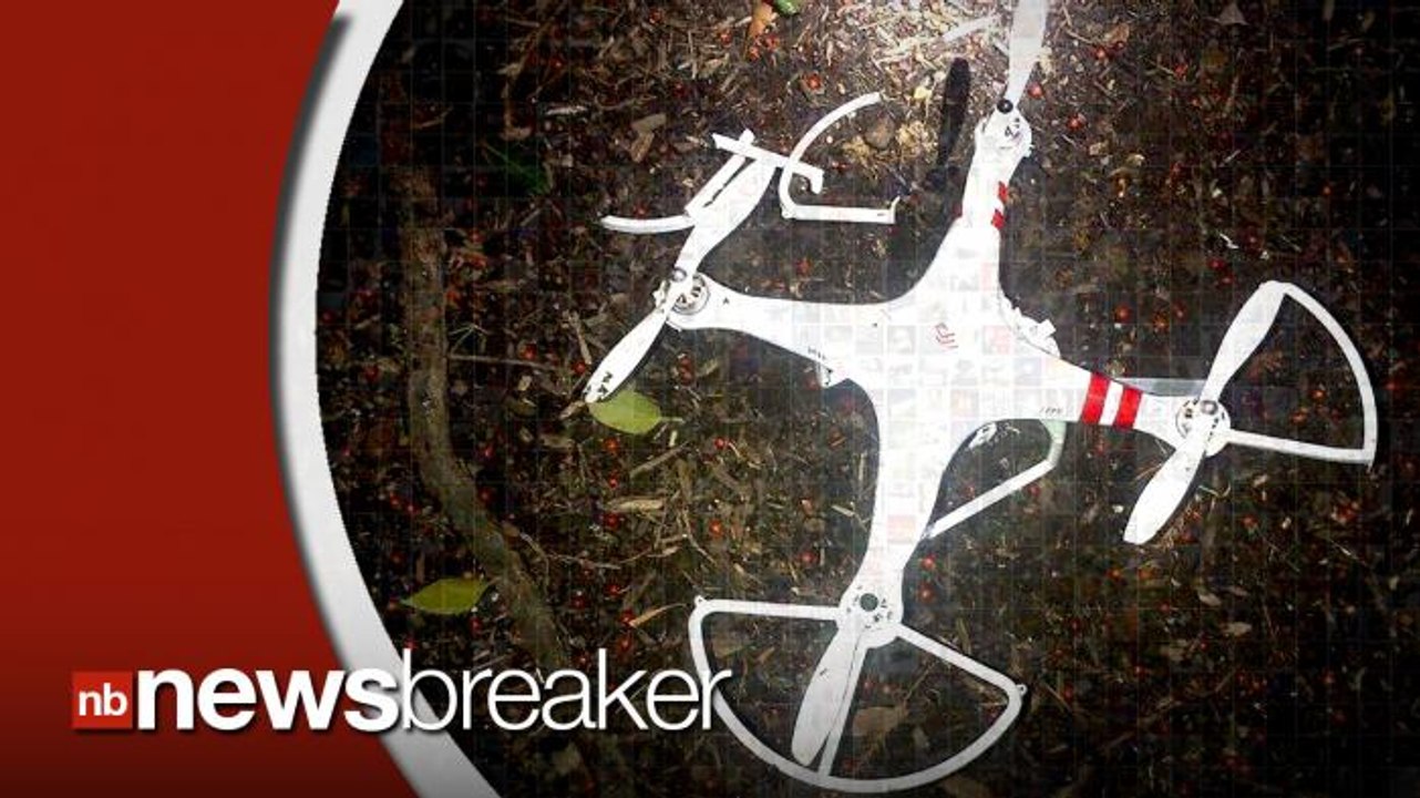 Government Employee Identified in White House Drone Incident; Says It Was "An Accident"