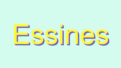 Learn the Correct Pronunciation of 'Essines' 📣