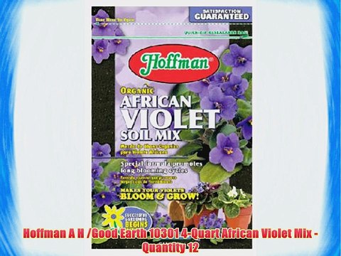Hoffman A H /Good Earth 10301 4-Quart African Violet Mix - Quantity 12