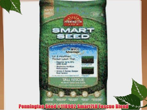 Pennington Seed #118902 Smart7LB Fescue Blend