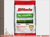 Pennington Seed 100081768 3-Lb. Rebel Fescue Seed - Quantity 8