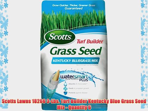 Scotts Lawns 18266 3-Lbs. Turf Builder Kentucky Blue Grass Seed Mix - Quantity 6