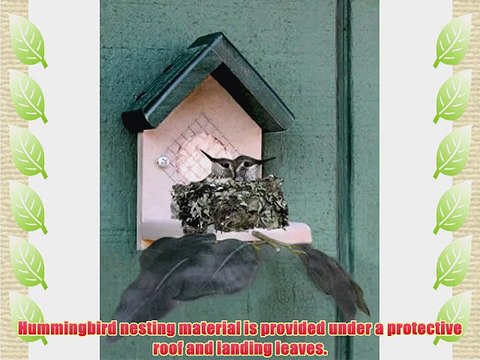 Duncraft Hummingbird House Nester