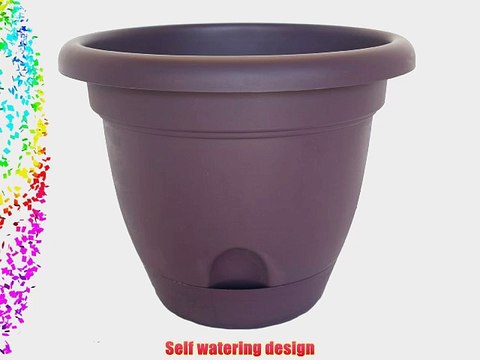 Bloem Living LP1656 Lucca Self-Watering Planter 16-Inch Exotica