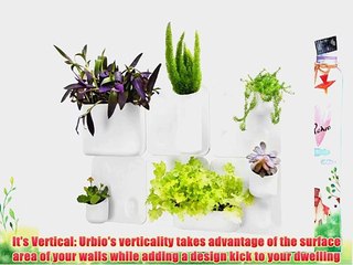 Urbio Big Happy Family Wall Planters