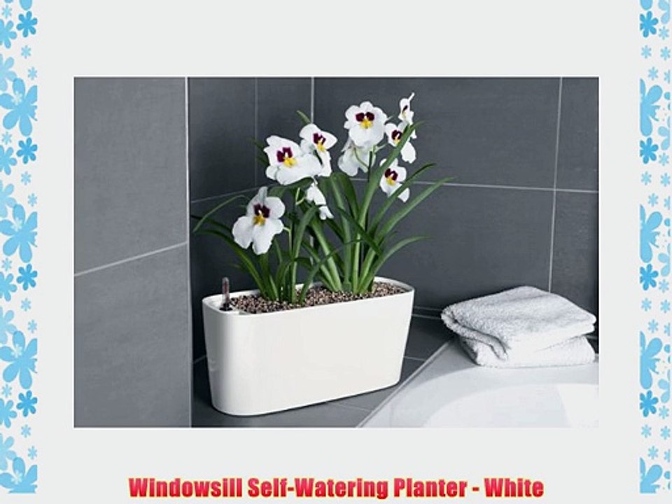 Windowsill Self-Watering Planter - White
