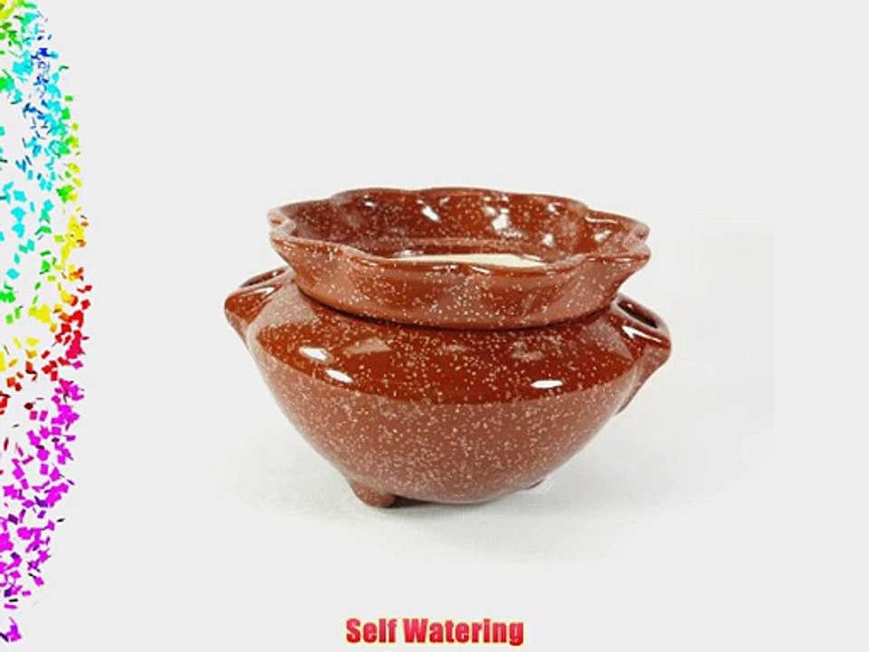 Self Watering Medium African Violet Planter Brown Enamelware