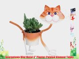 Georgetown Mini Metal 4 Planter-Painted Glamour Tabby