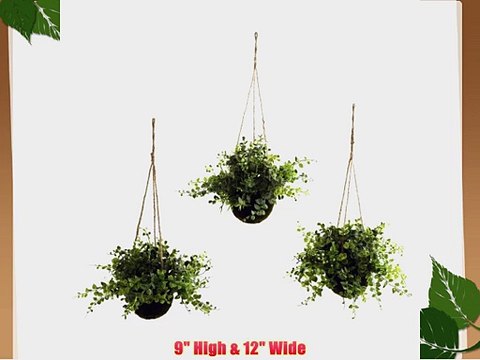 Nearly Natural 6741-S3 Eucalyptus Maiden Hair Berry Hanging Basket Green Set of 3