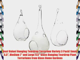 Best Value! Hanging Teardrop Terrarium Variety 3 Pack! Small 5.5 Medium 7 and Large 9.5 Glass