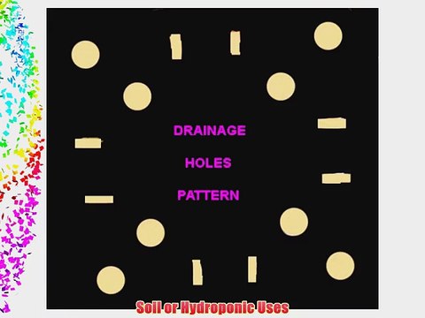 Pot Square 1 Gallon Black Plastic 1 Dozen