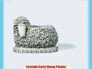 Foreside Curly Sheep Planter