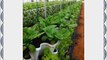 NEW (20) Individual Stacking Hydroponic Pots - Build Your Own Vertical Container Hydroponics