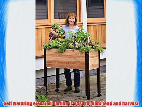 Self Watering Cedar Raised Garden Bed Standing Garden