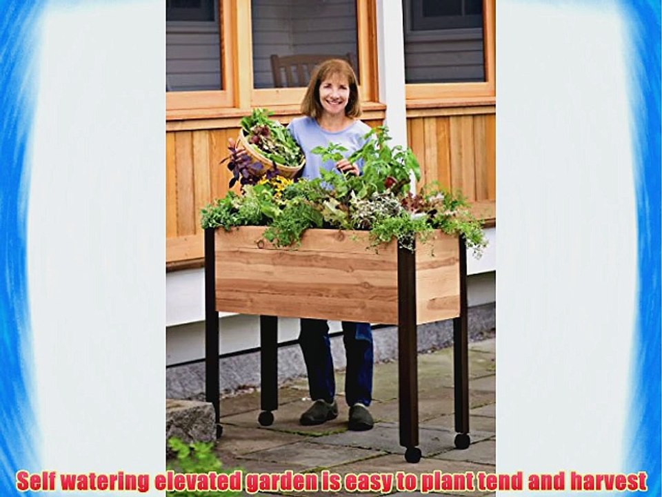 Self Watering Cedar Raised Garden Bed Standing Garden