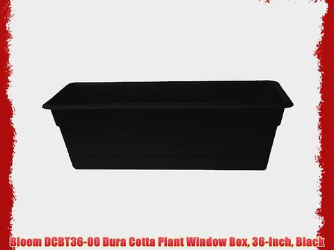 Bloem DCBT36-00 Dura Cotta Plant Window Box 36-Inch Black