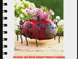 Ceramic and Metal Animal Planters Ladybug