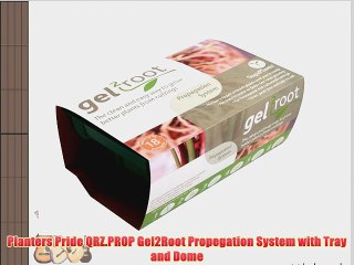 Planters Pride QRZ.PROP Gel2Root Propegation System with Tray and Dome