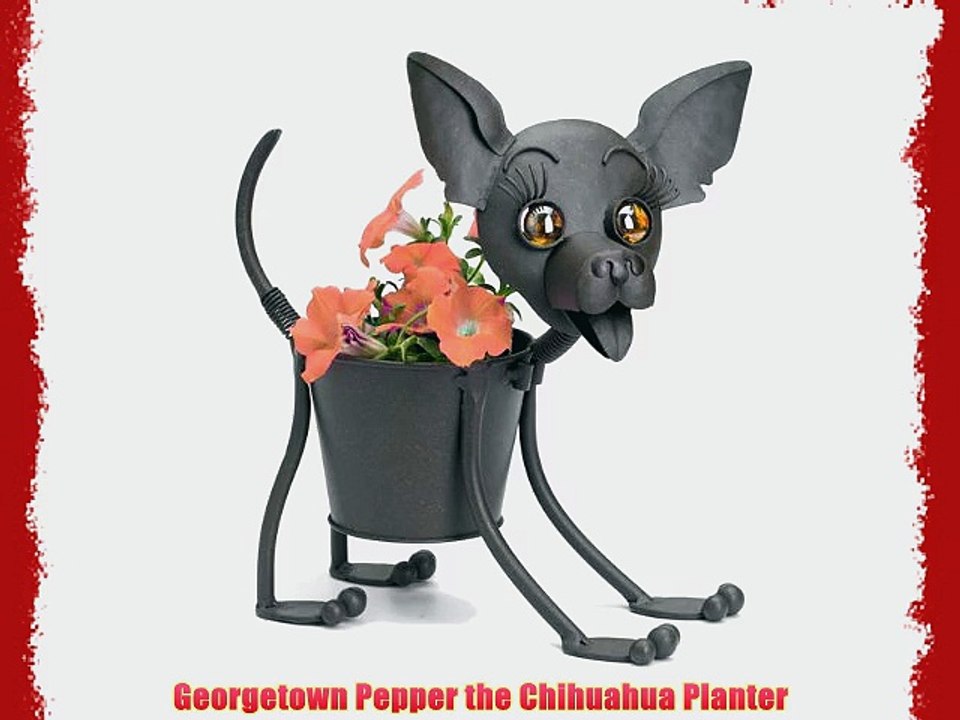 Georgetown Pepper the Chihuahua Planter