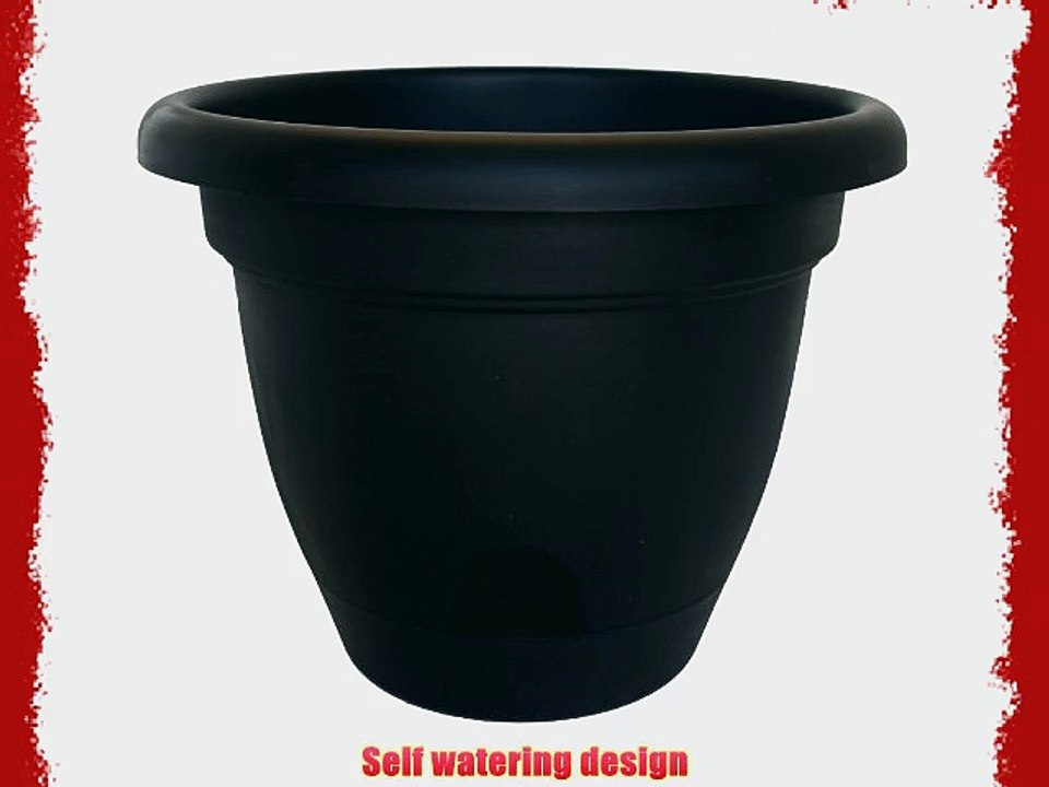Bloem Living LP1600 Lucca Self-Watering Planter 16-Inch Black