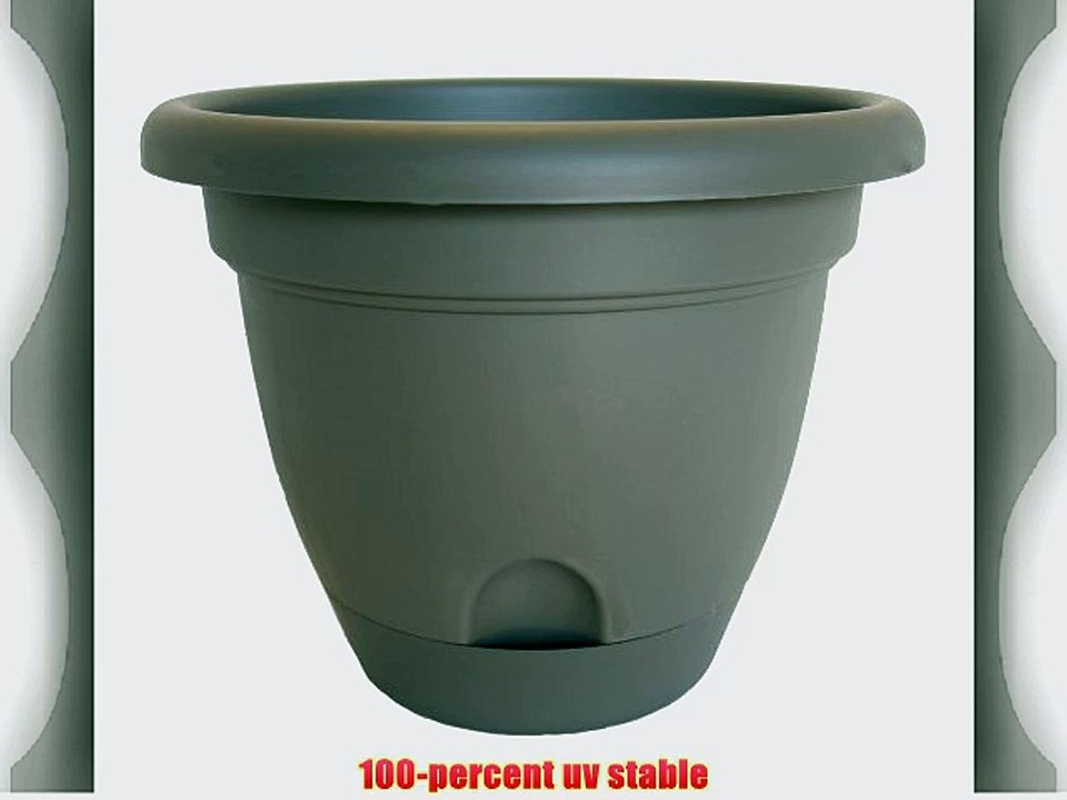 Bloem Living LP1860 Lucca Self-Watering Planter 18-Inch Peppercorn