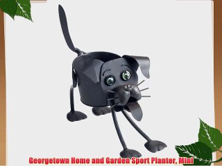 Georgetown Home and Garden Sport Planter Mini
