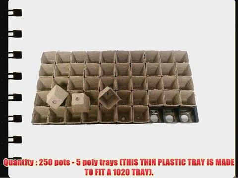 250 Square Jiffy Peat Pots Size 2x2 - Jiffy Poly Pak ~ Pots Are 2 Inch Square At the Top and