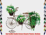 Red Carpet Studio Bronze Bicycle Planter Medium