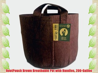 RootPouch Brown Breathable Pot with Handles 200-Gallon