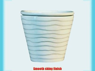 Border Concepts 18420 Self Watering Pot 6-Inch