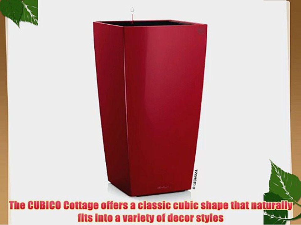 Lechuza Cubico Premium 30 - All-In-One Scarlet