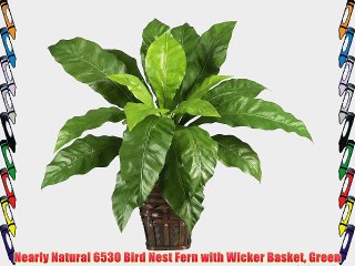 Nearly Natural 6530 Bird Nest Fern with Wicker Basket Green