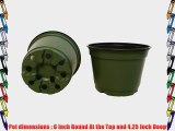 100 NEW 6 Inch TEKU Plastic Nursery Pots - Azalea Style ~ Pots ARE 6 Inch Round At the Top