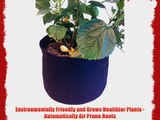 3 Gallon Fabric Pot - 10 Pack - Black Felt Fabric Pot Made From 100% Recycled Plastic Bottles