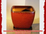 Bonsaiboy Parisian Red Ceramic Bonsai Pot Square With Attached Tray 6 x 6 x 6